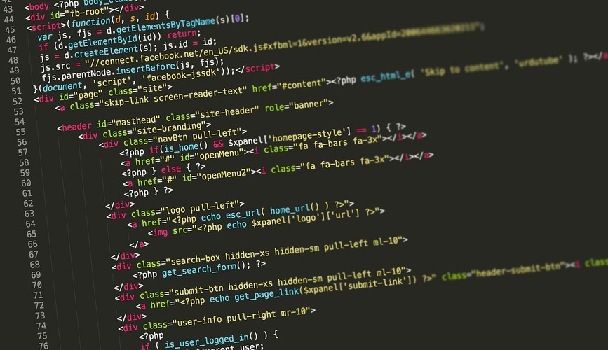 programming languages