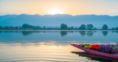 Srinagar - binvirtuals