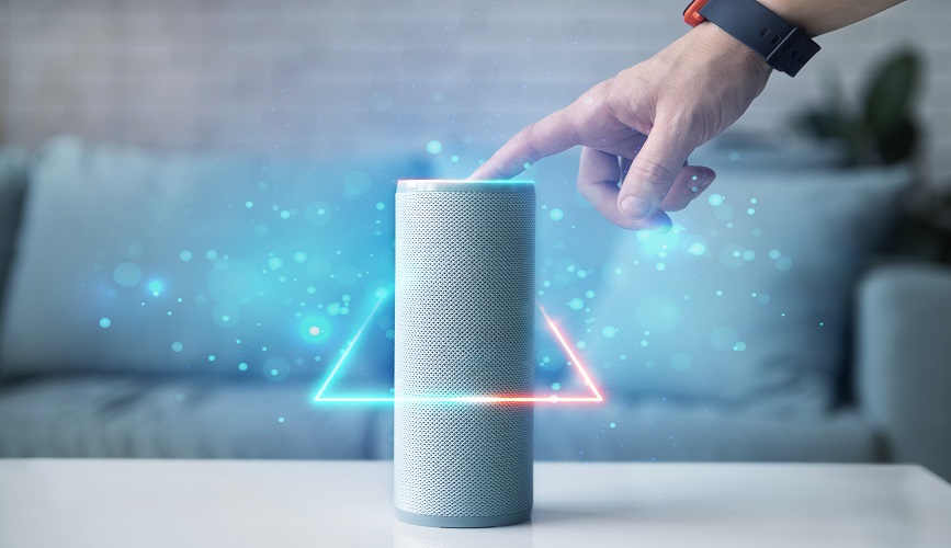 Voice Technolgy - binvituals